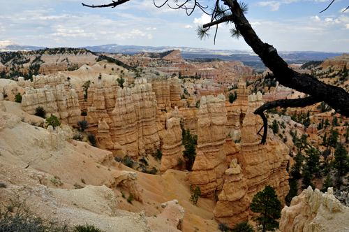 hoodoos